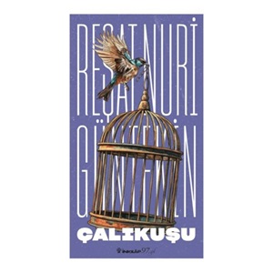 Çalıkuşu (Yeni Kapak)